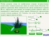 Формула тонкой линзы - упражнение на ActionScript дипломной работы