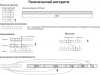 Блок-схема работы генетического алгоритма